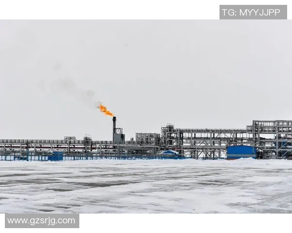 亚马尔地区的能源战略与全球气候变化的互动分析与展望